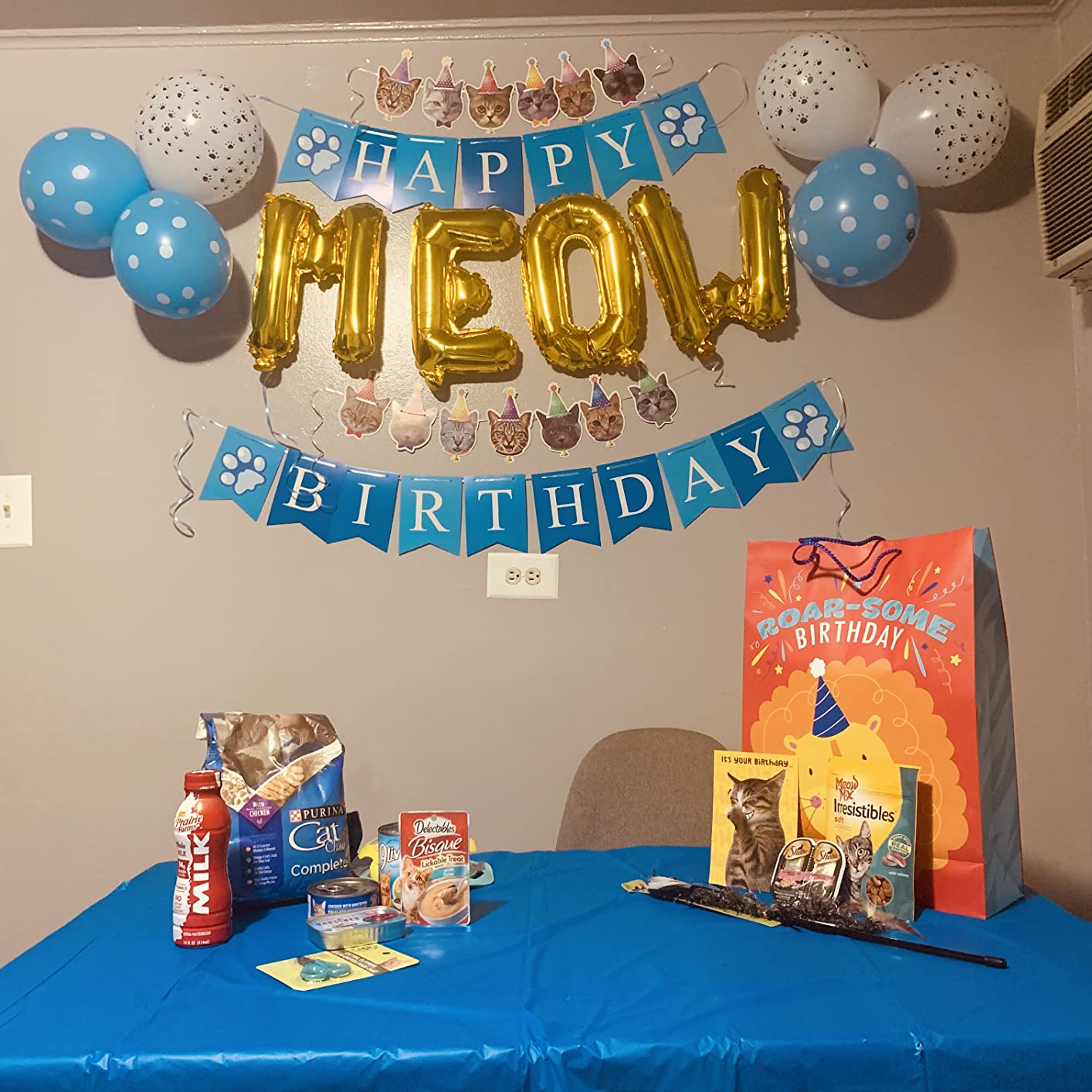 2/mo Finance STMK Cat Birthday Party Supplies, Cat Birthday Hat with