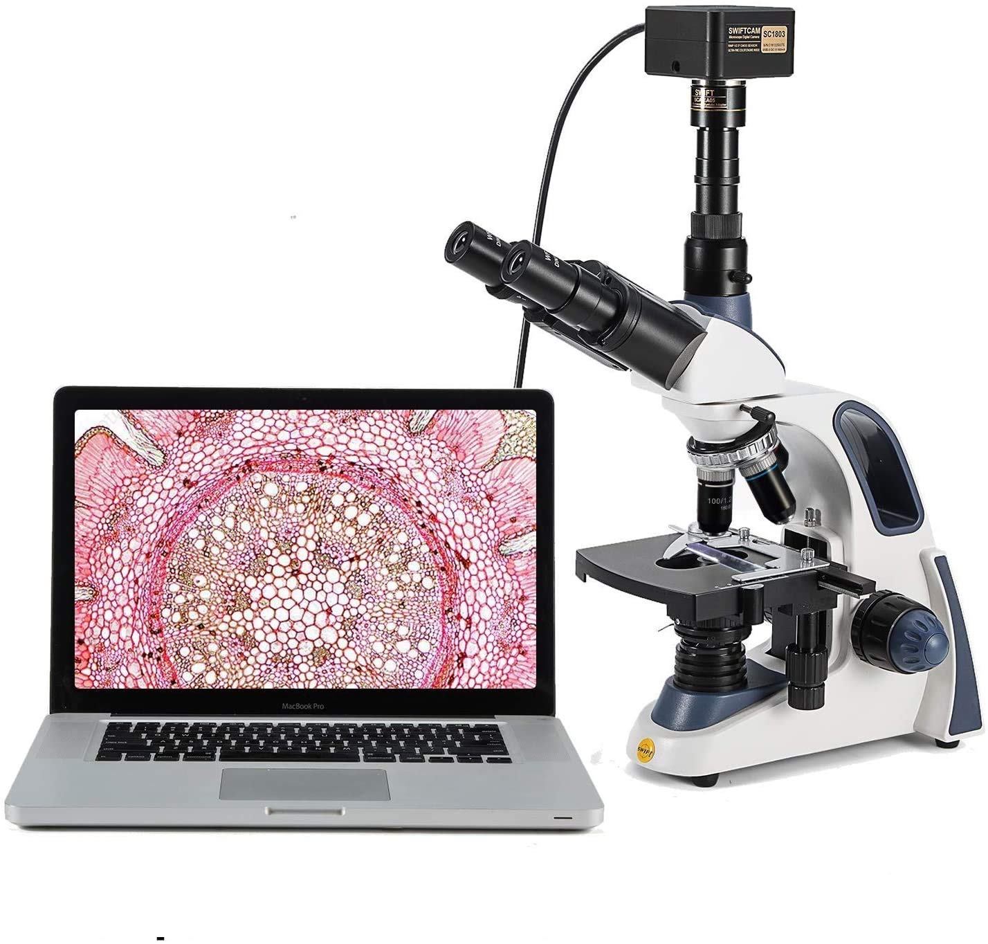 microscopo e - Scelta n.1