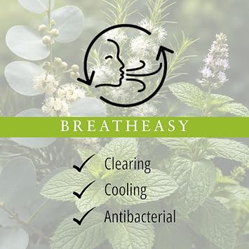 Absolute Aromas Breatheasy Aroma Inhaler with 100% Pure, Natural Essential Oils - Eucalyptus, Tea Tree, Cajeput and Ravensara - Instant Congestion Relief for All Your Chills.