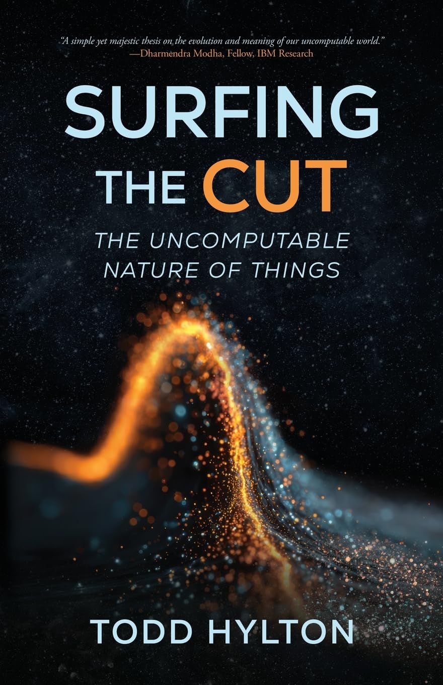 Surfing the Cut: The Uncomputable Nature of Things      Paperback – February 17, 2026