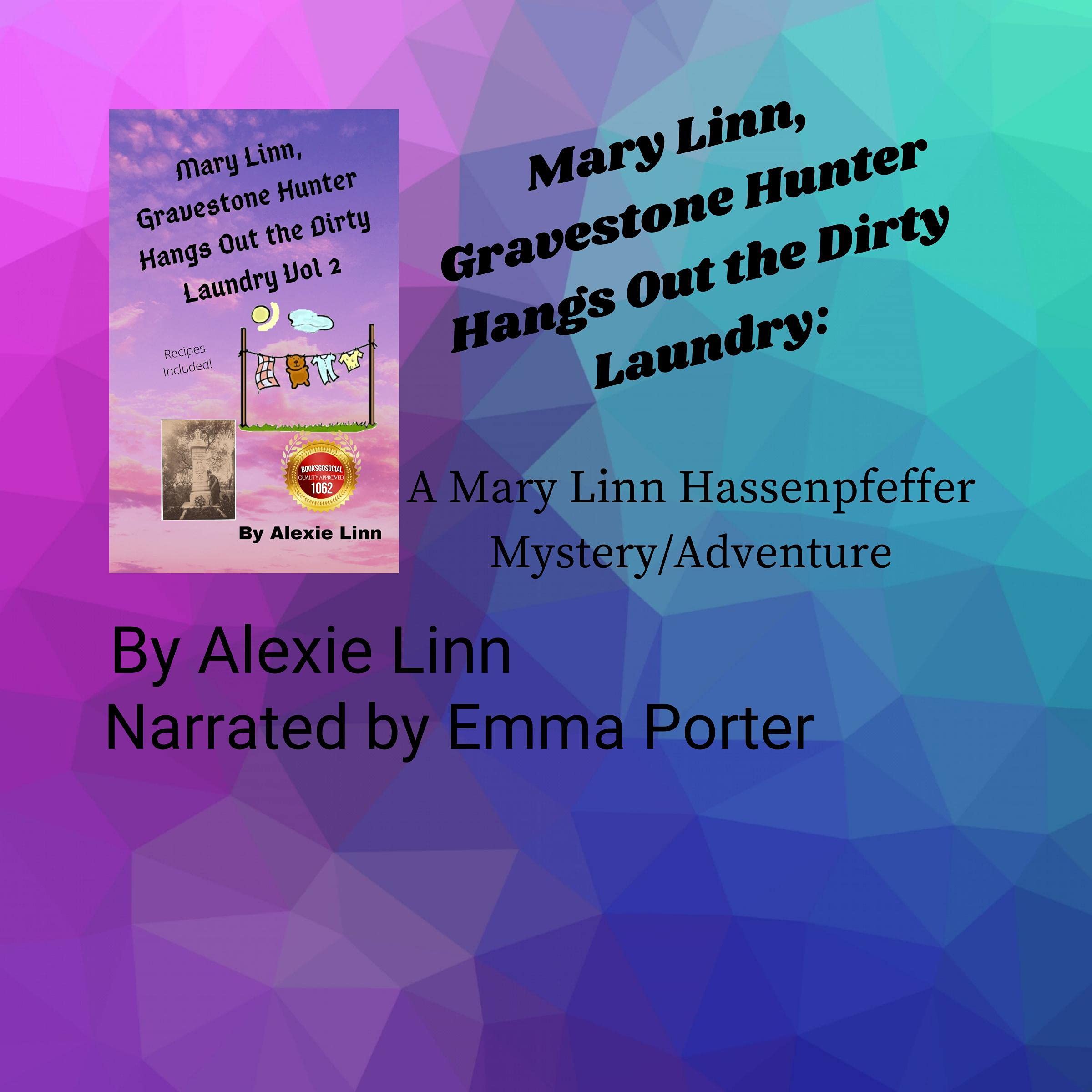 Cover art for Mary Linn, Gravestone Hunter Hangs Out the Dirty Laundry
