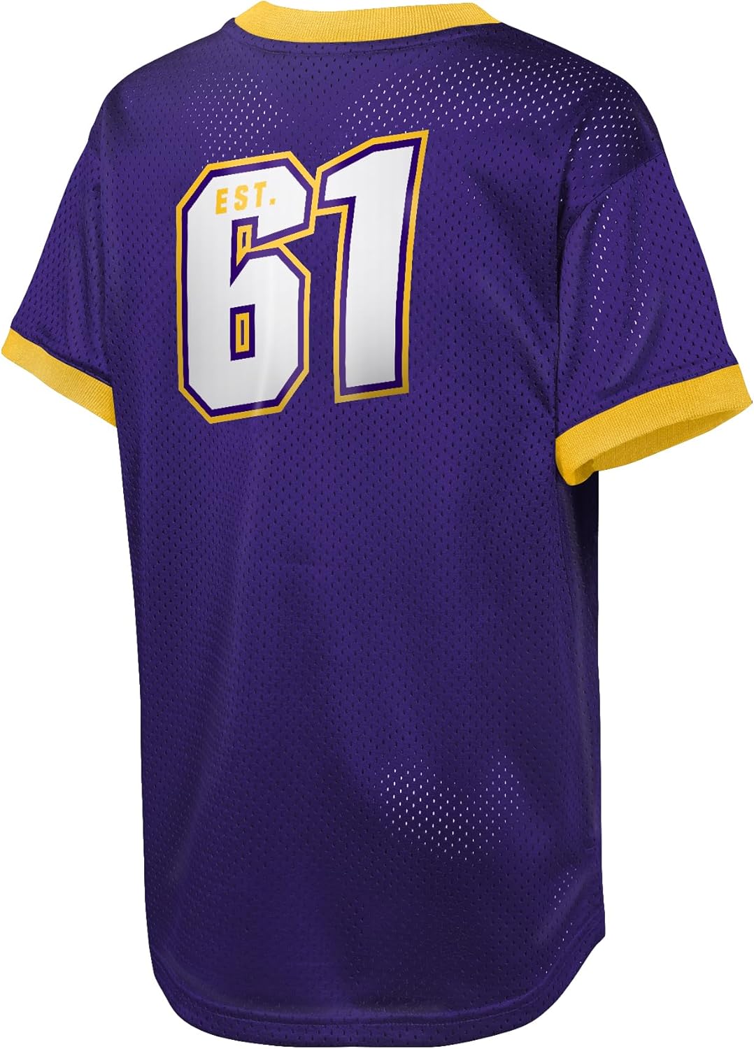 NFL Kids Youth Boys 8-20 Officially Licensed Division Established Team Color Mesh V-Neck Wordmark Primary Logo Jersey
