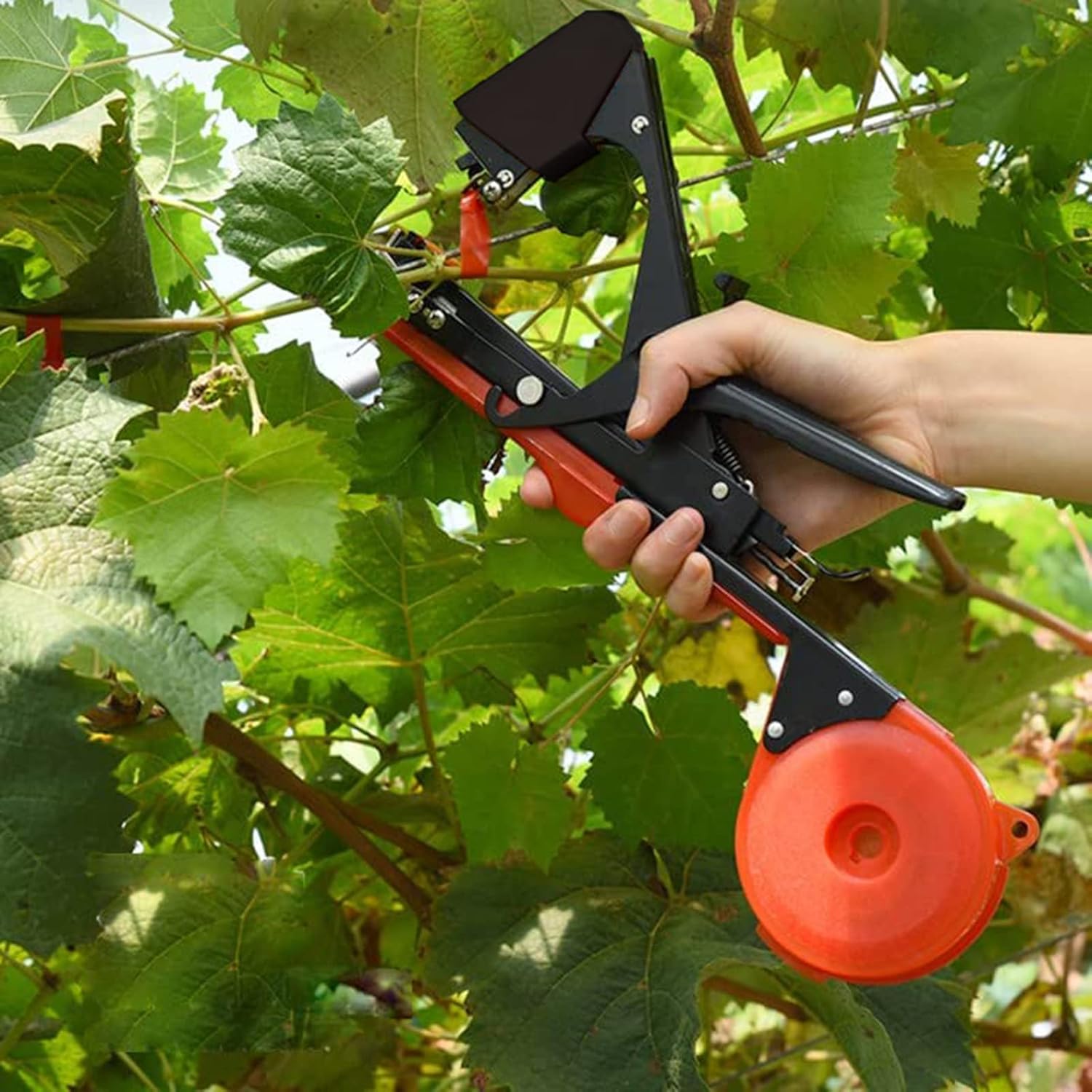 Plant Tying Machine,Plant Vine Tying Machine Tool with 10000pcs Staples 20 Rolls Tape Plant Tape Gun for Grapes,Raspberries,Tomatoes,and Vining Vegetables Tying Tool (Black)