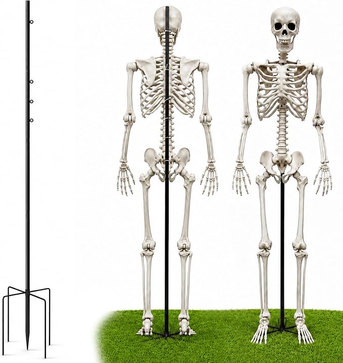Support de pose en métal pour squelette - Support élargi pour Halloween, hauteur 1,65 m (5,4 pi)