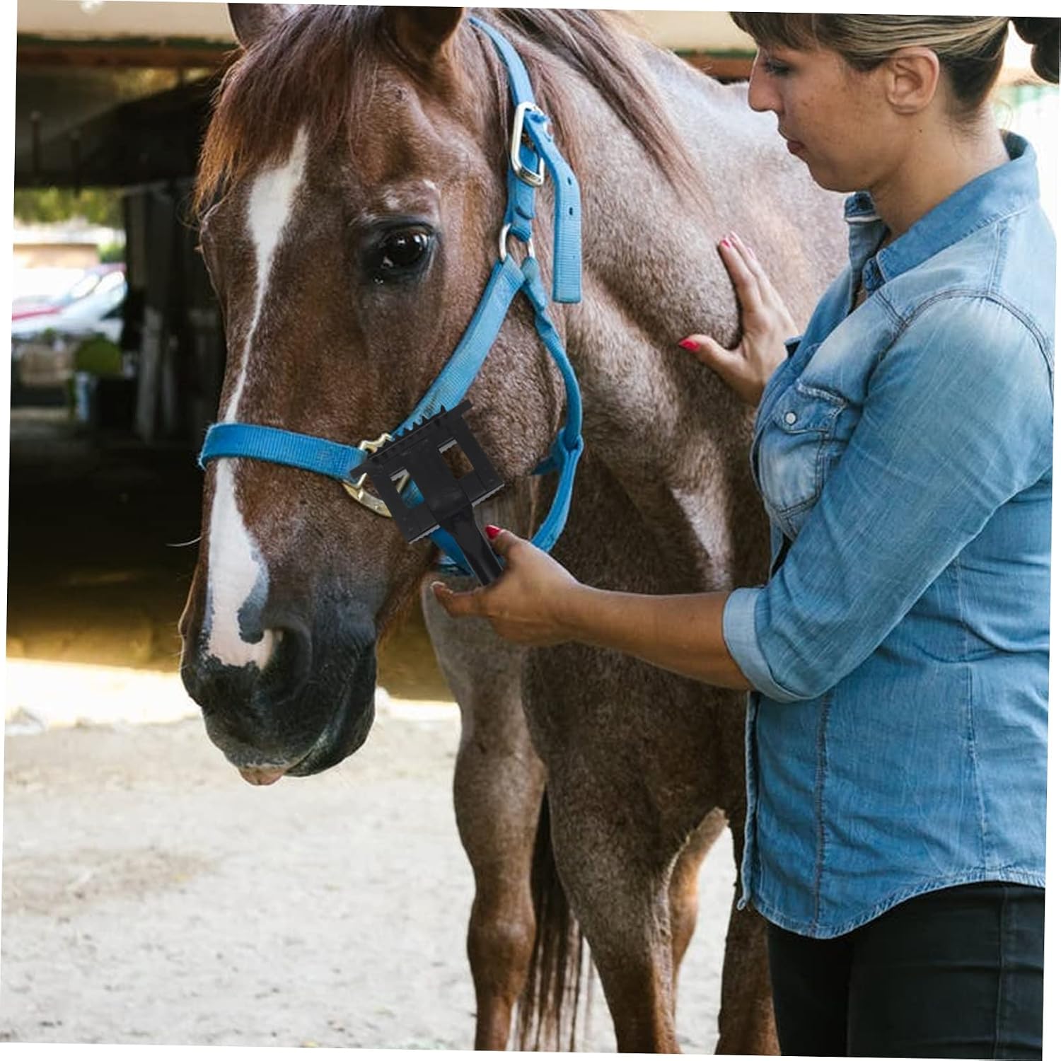 Professional Cow Scratching Hair Artifact Cattle and Sheep Horse Comb Livestock Grooming Comfortable to Hold Handle Pet Hair Rake