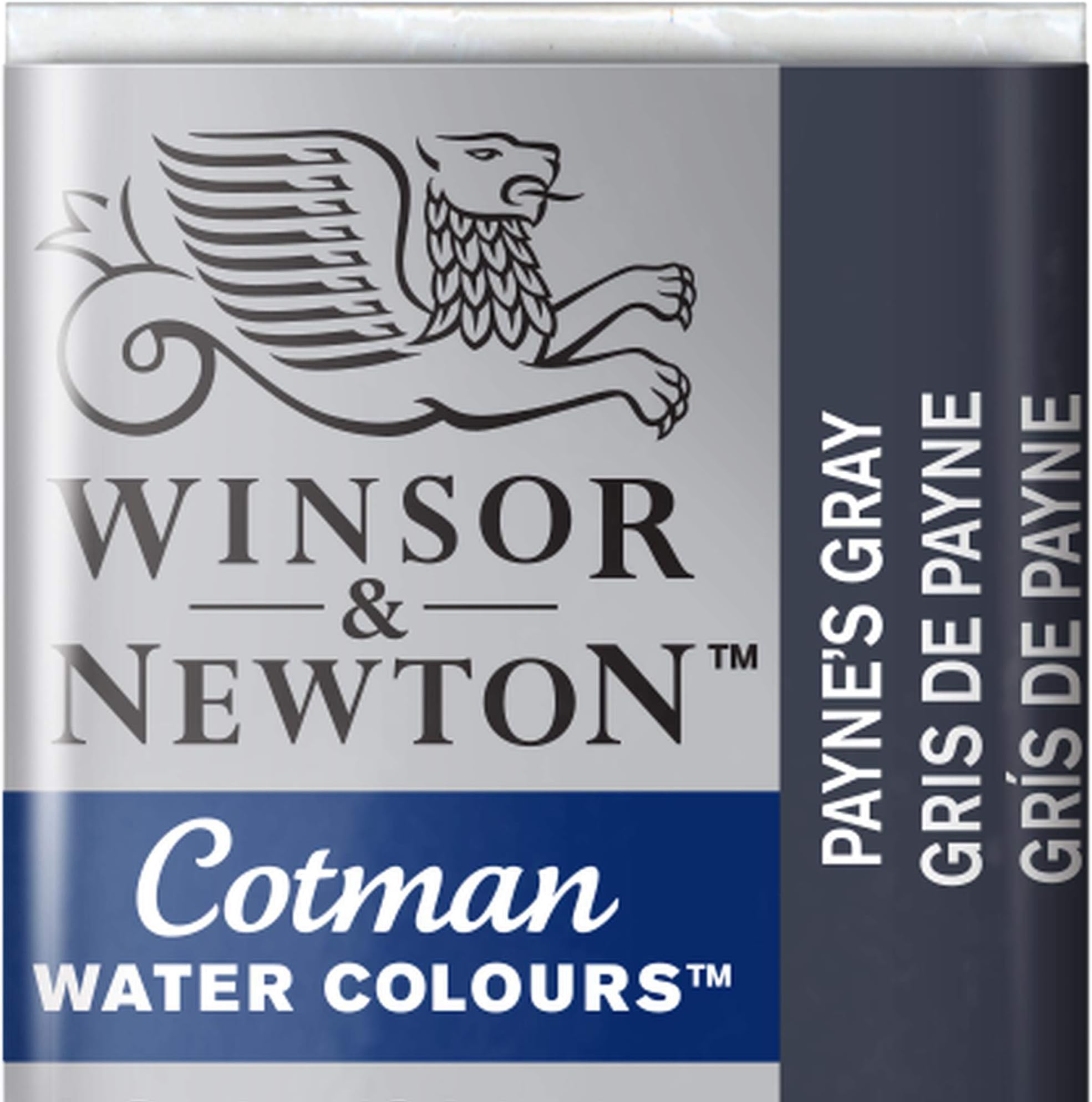 Winsor & Newton 0301696 Cotman Watercolour Paint – Payne's Grey, 1.9x1.6x1.1 cm