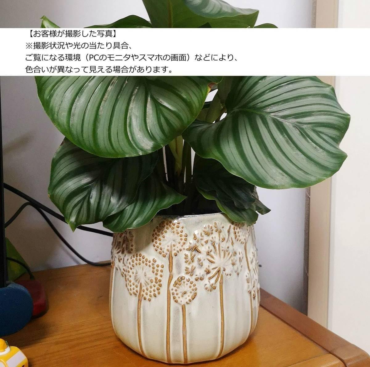 新品yukiemon くりぼー陶器製植木鉢