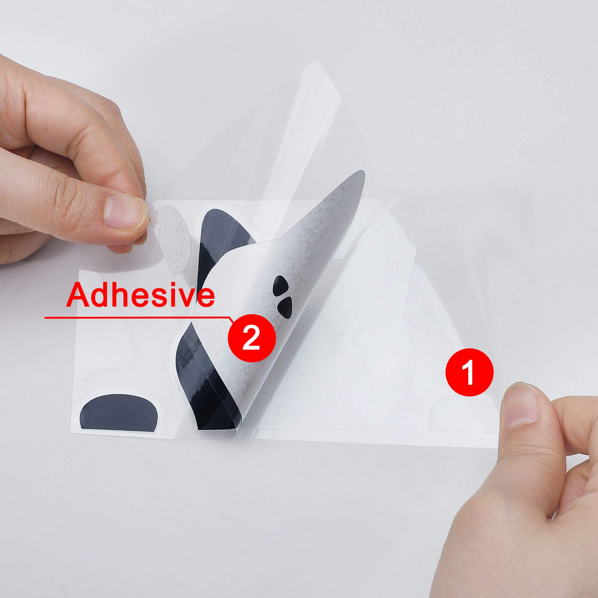 Adesivi Auto Gatto Che Sbirciano - Divertenti E Impermeabili - Foto 13