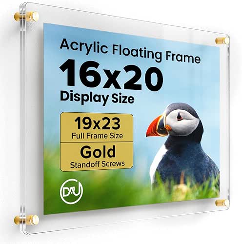 Acrylic Floating Frames Gold Standoffs(single) 16" x 20" Clear Acrylic