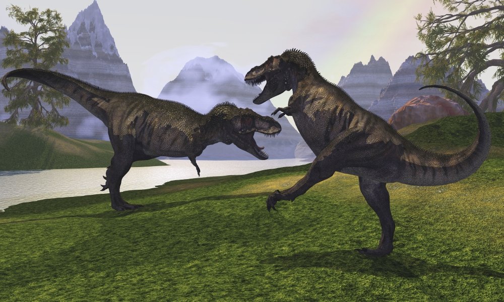 Amazon.com: Posterazzi Two Tyrannosaurus Rex dinosaurs fight for