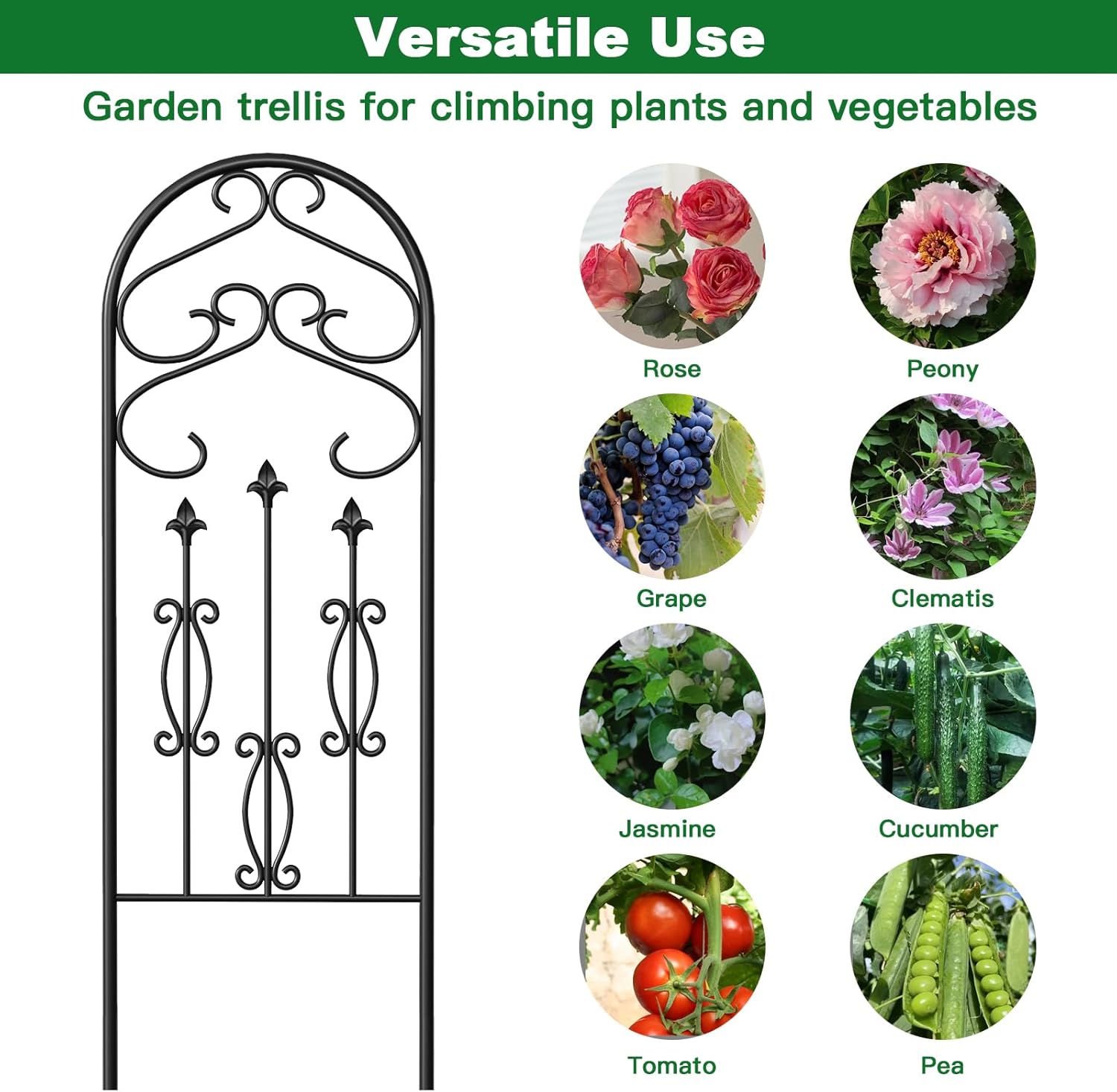 AMAGABELI Garden & Home 4 Pack 60" x 18" Metal Garden Trellis for Climbing Plants Outdoor Climbing Rose Trellis Rustproof Plant Vines Flower Vegetable Trellis for Potted Plants Support Black