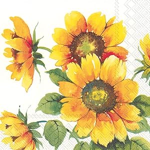 Boston International IHR 20-Count Beverage/Cocktail 3-Ply Paper Napkins, 5 x 5-Inches, Colourful Sunflowers