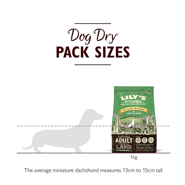 Foto 6 de 8 de Lily's Kitchen Elaborado con ingredientes naturales alimento seco para perros adultos pasel de carne…