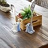 Product Photo 4