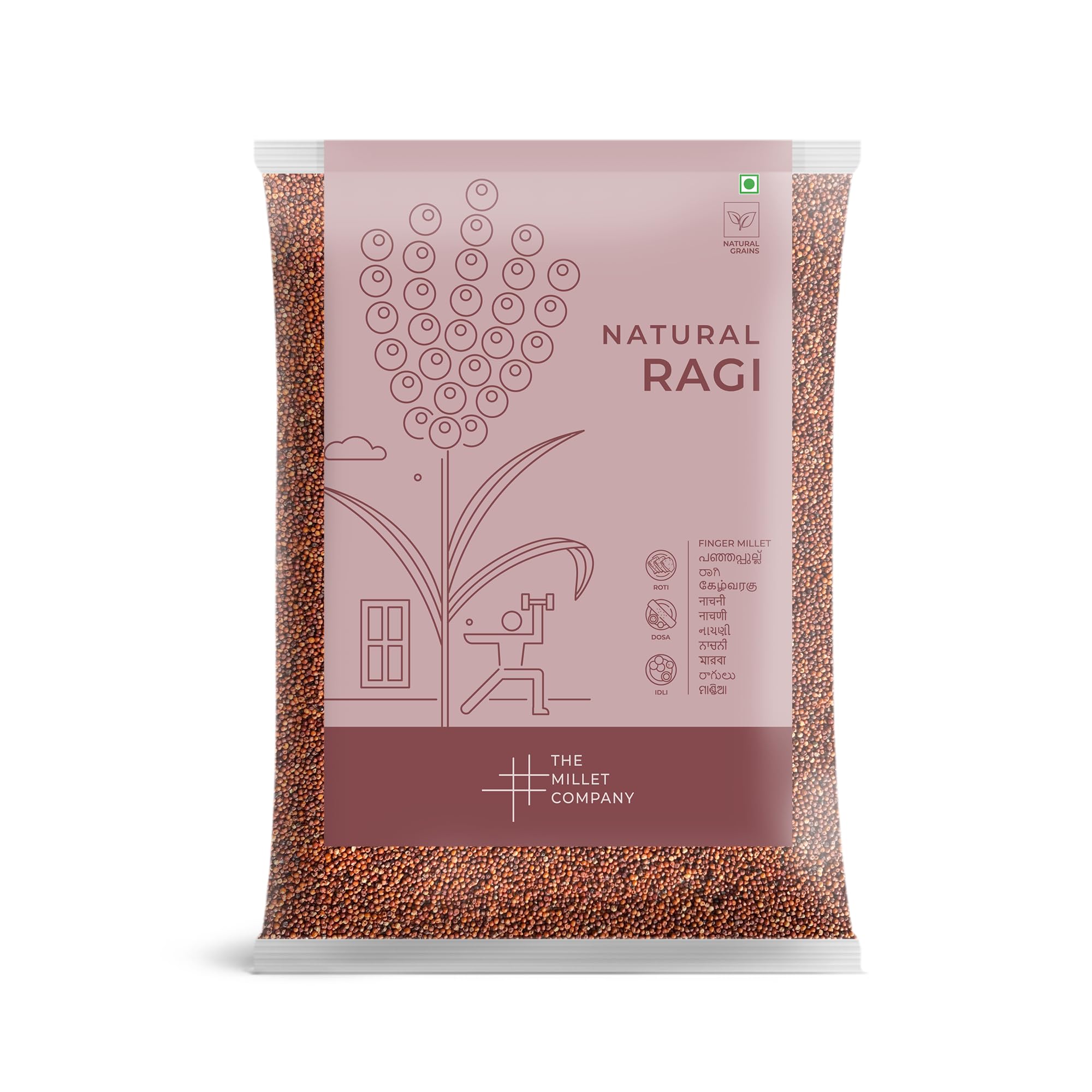 The Millet Company Natural Ragi 1 kg, Nachni, Finger Millet, Gluten Free, High Fibre Millets, Healthy Food Alternatives (B08TRJW3FT) Amazon Price History, Amazon Price Tracker