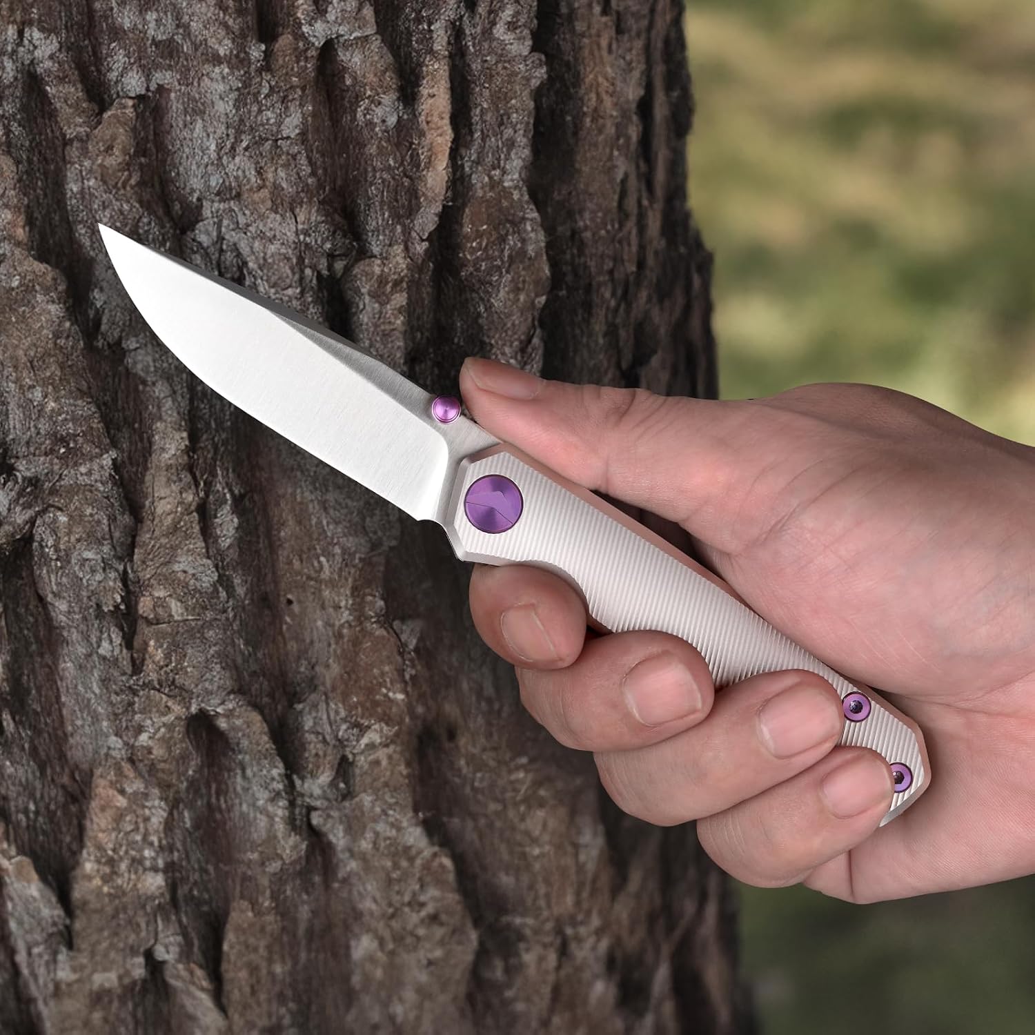 Folding Pocket Knife, 2.95" Elmax Blade EDC Knife with Titanium Handle and Frame Lock, Small Pocket Knife with Clip for Men, Sharp Camping Hiking Hunting Survival Knives (Silver)