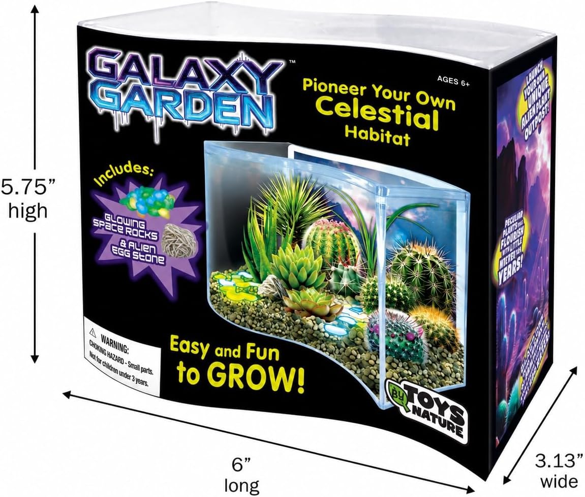 Toys By Nature Galaxy Garden, Wave Terrarium Kit with Live Cactus Plants, Succulents & Alien Egg Stone - Beginner-Friendly Terrariums and Live Indoor Plants Décor