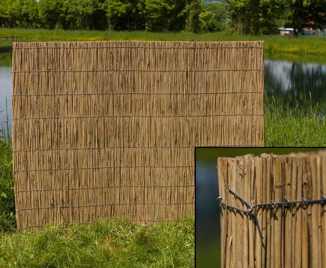 bambus-discount.com Schilfrohrplatte Usedom mit 125 x 200cm und 2,5cm Materialstärke - Dicke starre Schilfplatte als Dämmmaterial