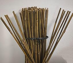 Suinga 25 Pack Bamboo Canes 200cm (8-10mm) | Heavy Duty Bamboo Sticks for Plants, Trees and Vegetables | Plant Support, Tomato Support | Climbing Plant Support