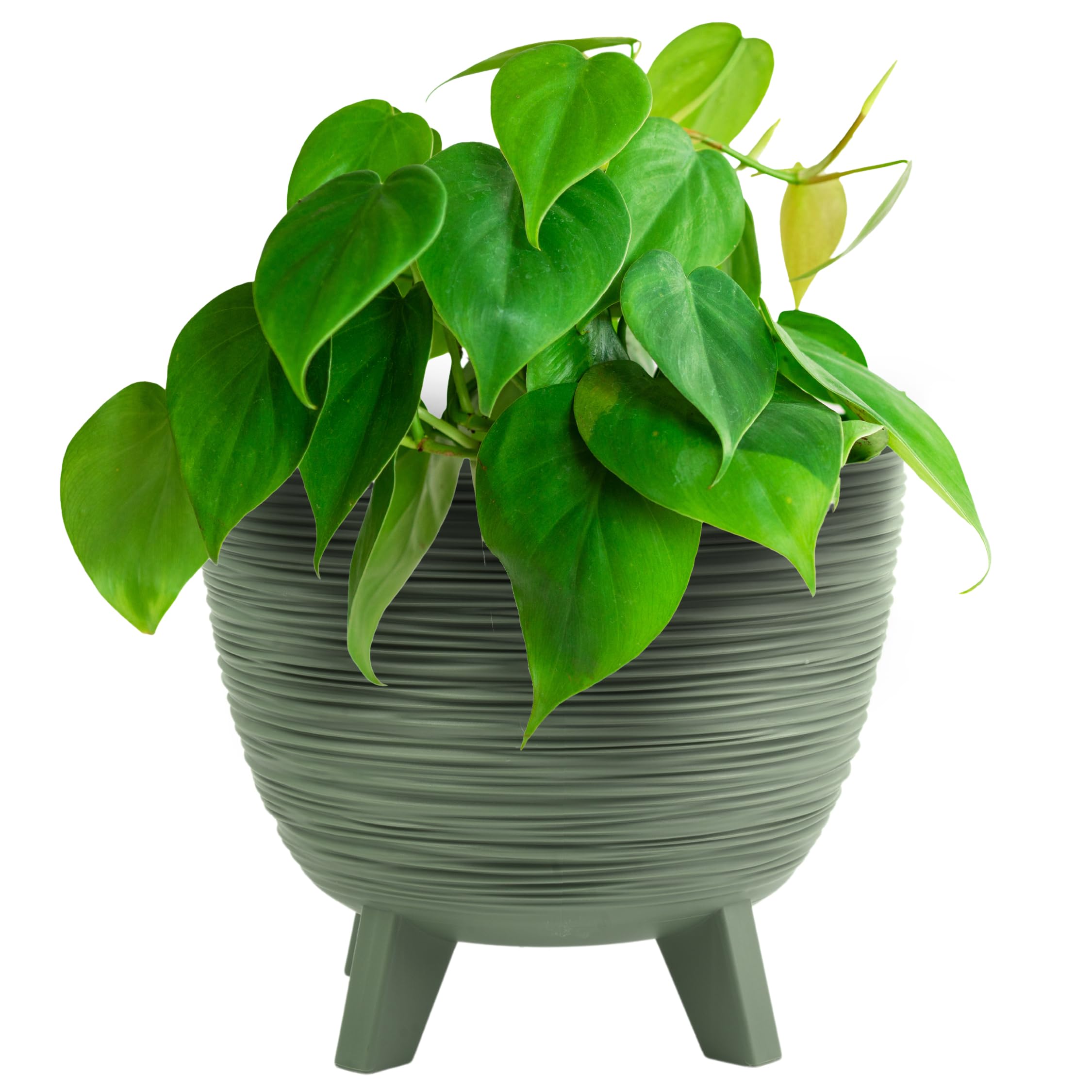 B2C Bowl Planter Plant Pot with Legs Oval Flower Modern Decorative FURU Indoor 4 Colours Modern Elegant Plqastic Matt Finish Textured Home Office Balcony Lightweight (Green, 39.5m)