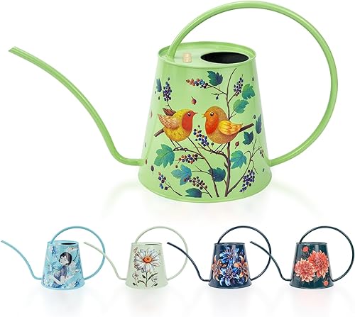 Berry&Bird Regadera para plantas de casa, para interiores y exteriores, de acero inoxidable de 12 galón, con boquilla larga, decoración de jardín,