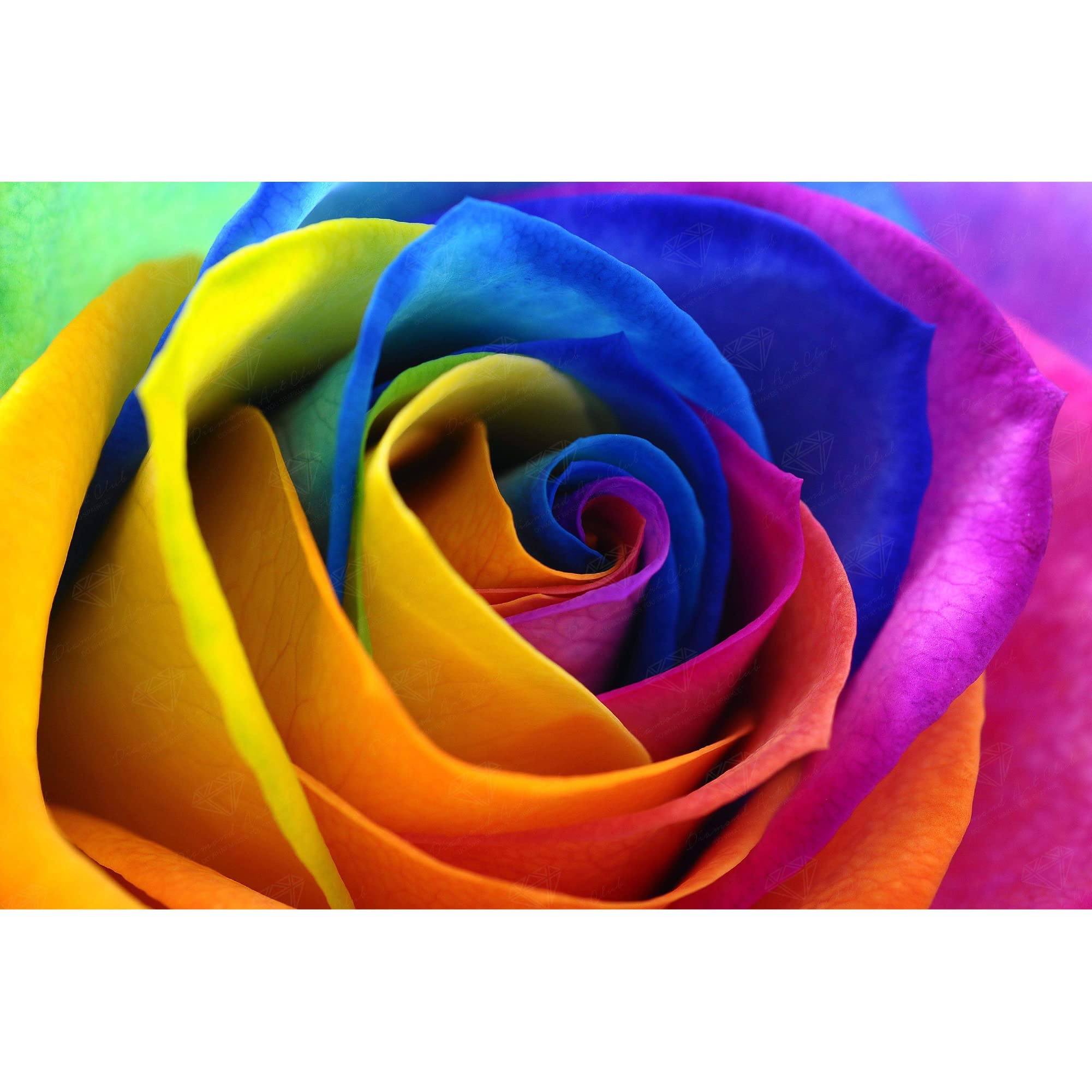 DIAMOND ART CLUB Rainbow Flower Petals Diamond Painting Kit, 12.6