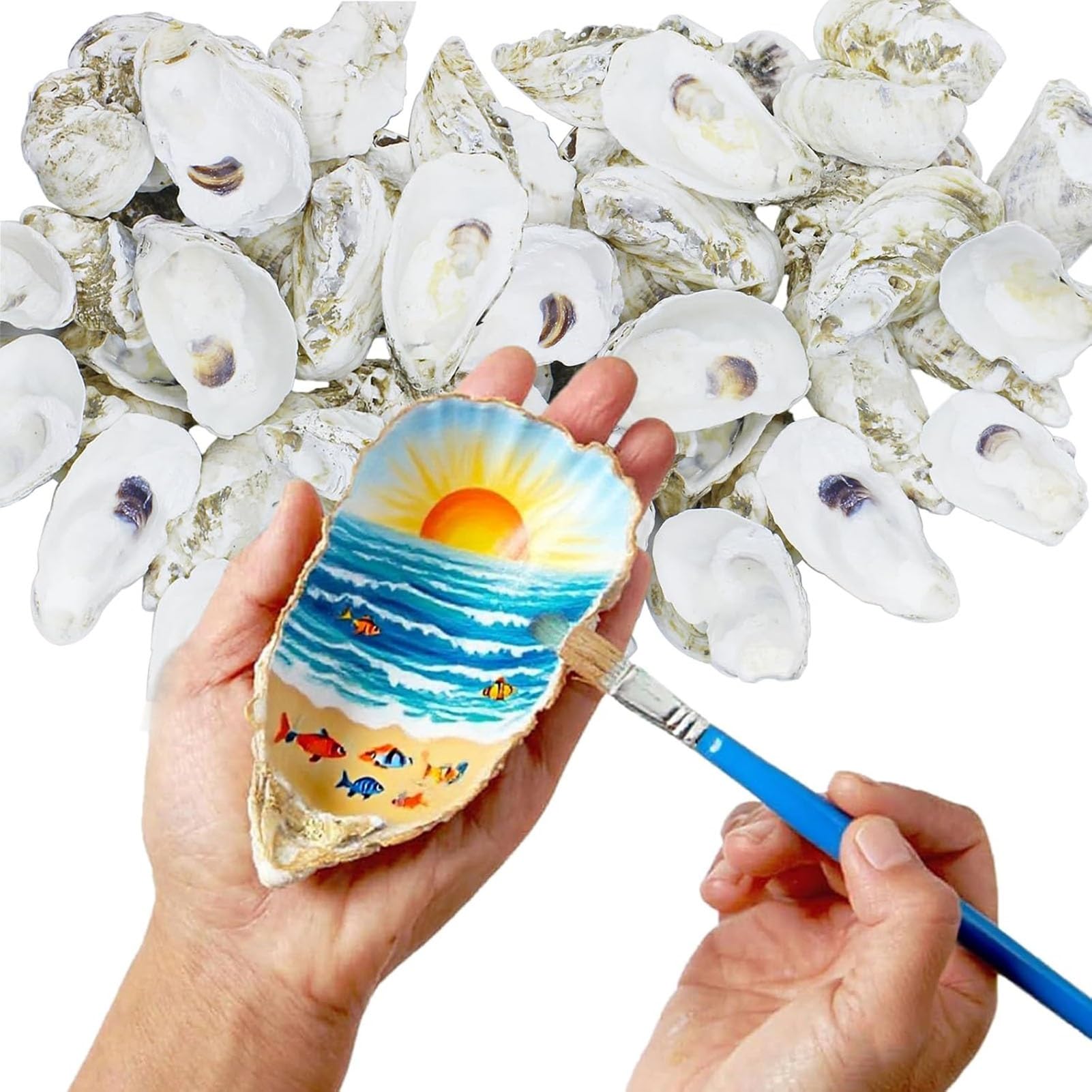 30Pcs 4-5 Inch Concave Oyster Shells For Crafts, Natural Oyster Shells For Decoupage Vase Filler Wedding DIY Decor Coastal Seashells Art