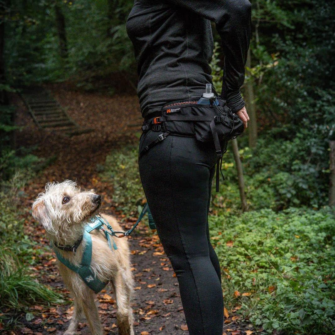 Non-Stop Dogwear Cinturón de luz de sendero, negro - M