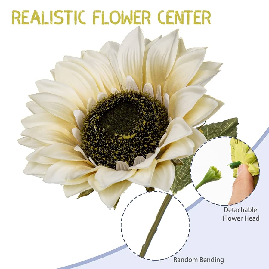 ひまわり様 楽天市場】2025 ひまわりティッシュボックス120W 60個 120個 180