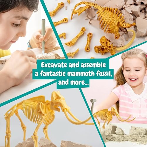 Miniatura 8 de Science4you - Kit de excavación de fósiles de mamut para niños mayores de 6 años - Excava y monta 17 fósiles de mamut - Kit de excavación de