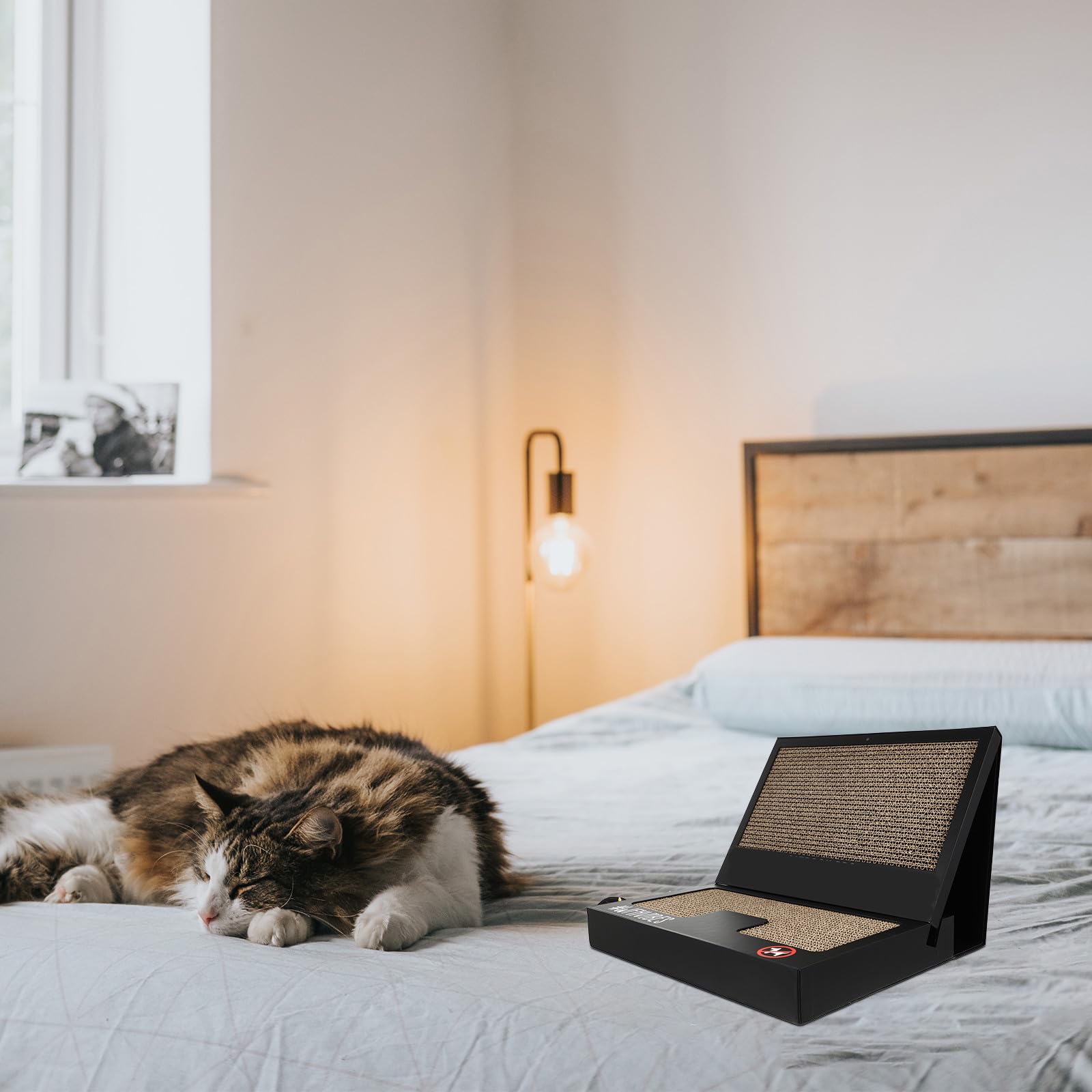 Katzenkratzbrett für Katzen, 1 Set, kreatives Kratzspielzeug in Laptopform, mit Beißring, tragbar, für Zuhause