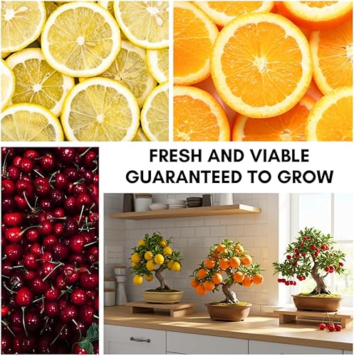 Miniatura 3 de Más de 150 semillas de árboles frutales de bonsái enano para plantar, más de 50 semillas de limonero, más de 50 semillas de cerezo, más de 50