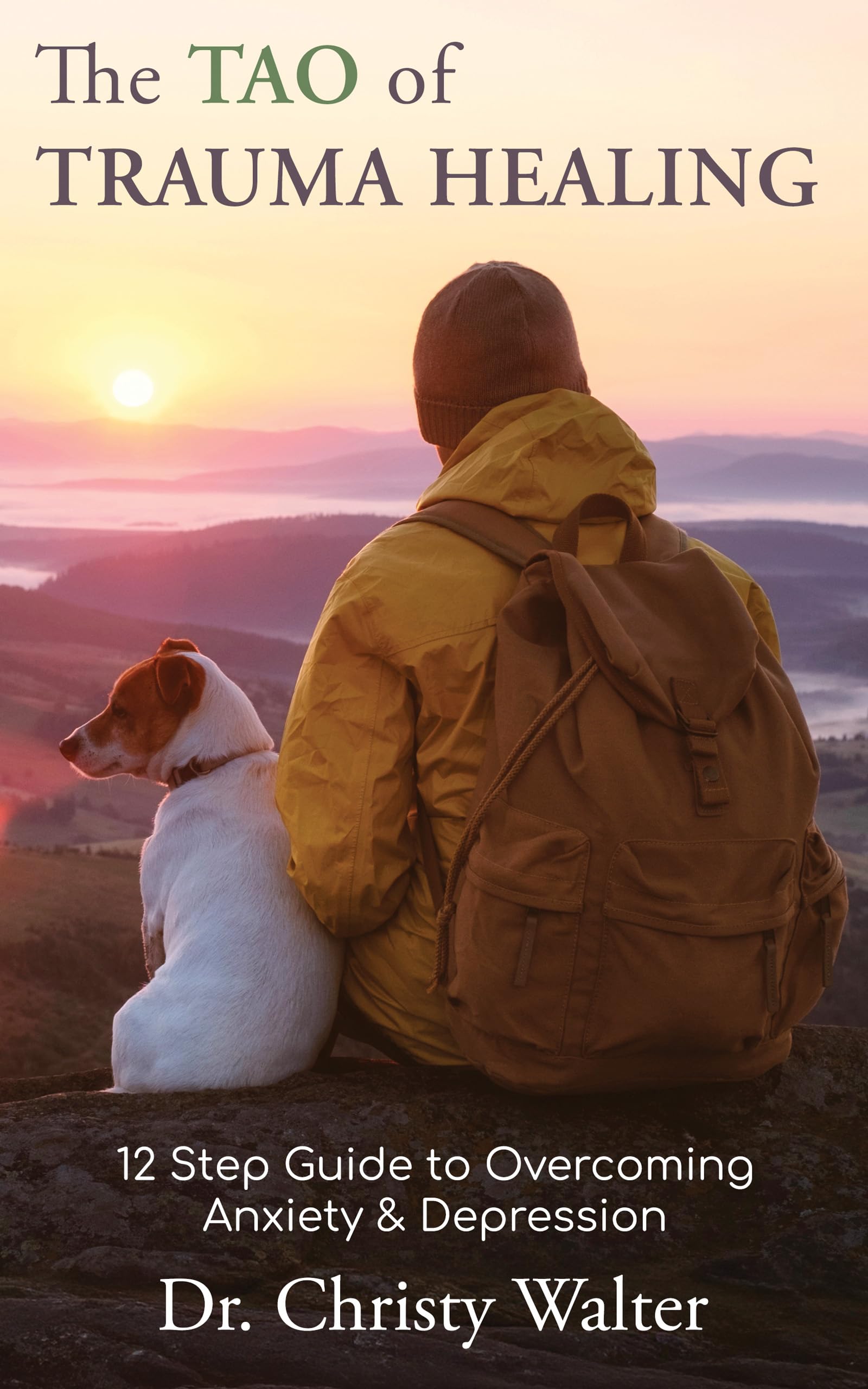 The TAO of Trauma Healing: 12 Step Guide to Overcoming Anxiety & Depression