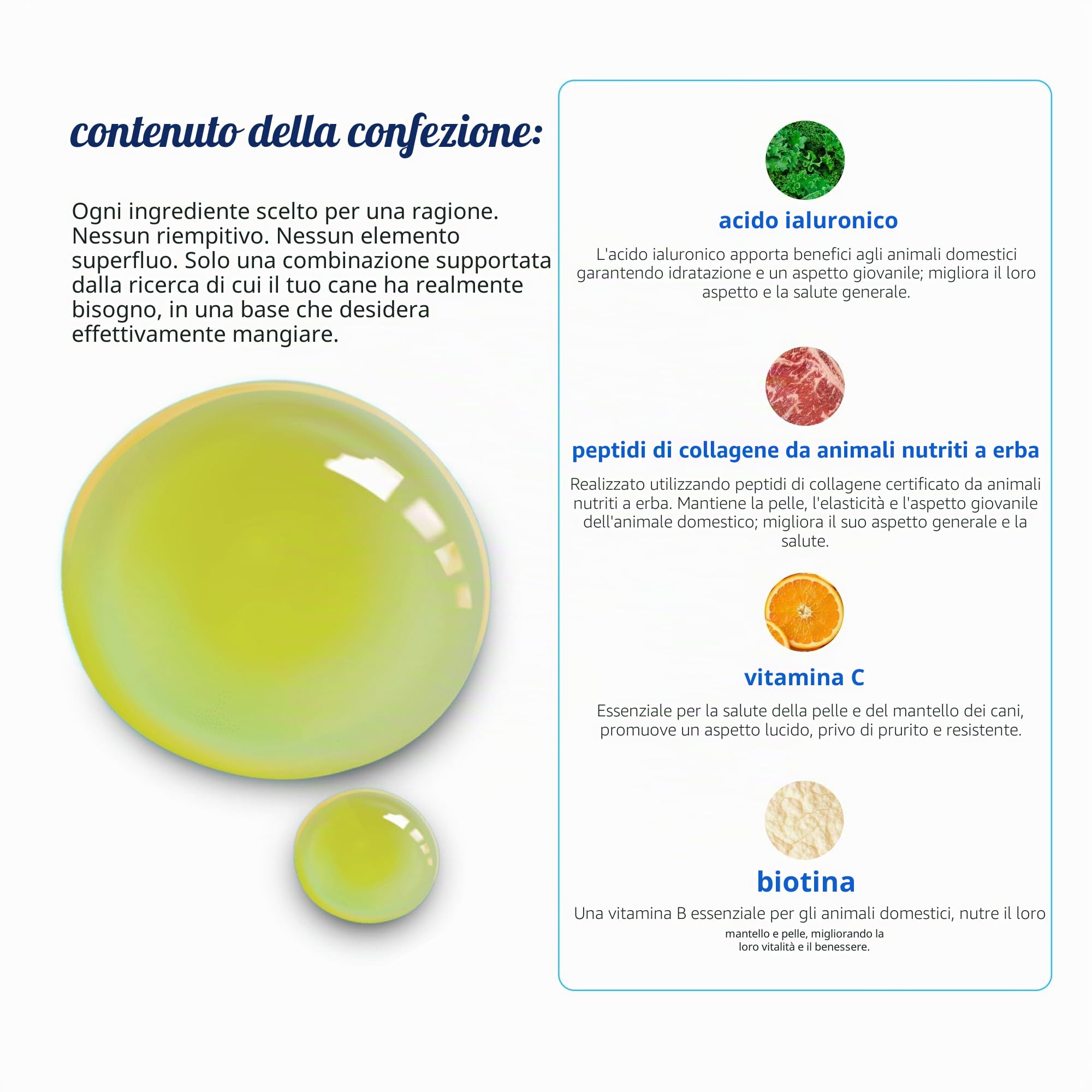Integratore per pelle e pelo per cani, gatti | Collagene liquido Taily per cani | Sollievo dal prurito per cani con allergie, con mangime per erba collagene, biotina, vitamina C e acido ialuronico |