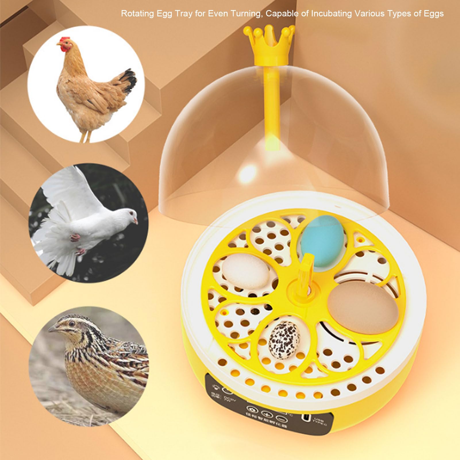 Buachois Incubatrice per uova da cova, tornitore automatico per uova con controllo dell'umidità della temperatura, mini design portatile per uova di pollo, anatra, uccelli, casa, scuola, uso educativo