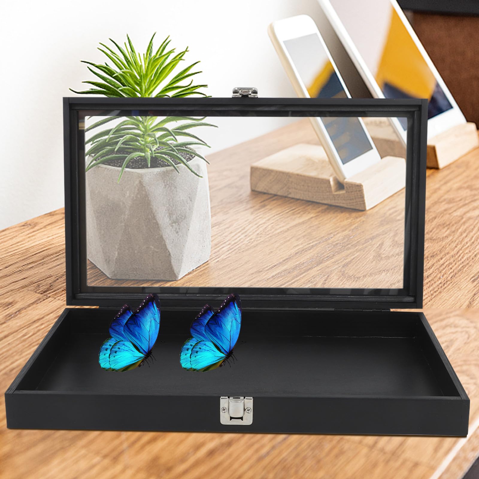 Gatuida Caja de Madera para Exhibición de Insectos con Tapa Transparente y Cerradura, Diseño Elegante para Protección y Fácil Acceso en Decoración Interior