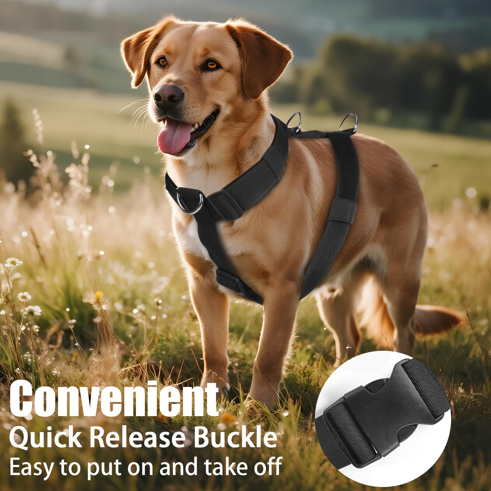 Pettorina Cane Taglia Grande Media Piccola, Pettorina Antifuga Regolabile con Ganci in Metallo, Pettorine Morbido Confortevole Imbottito Petto per Addestrare Le Passeggiate (Nero, XL)