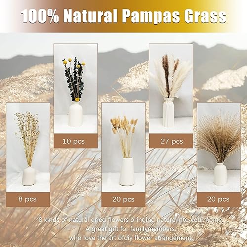 Miniatura 3 de 85 piezas de hierba seca de las pampas, ramo de flores secas bohemias de hierba seca de las pampas que contiene colas de conejo, ramo de hierba de