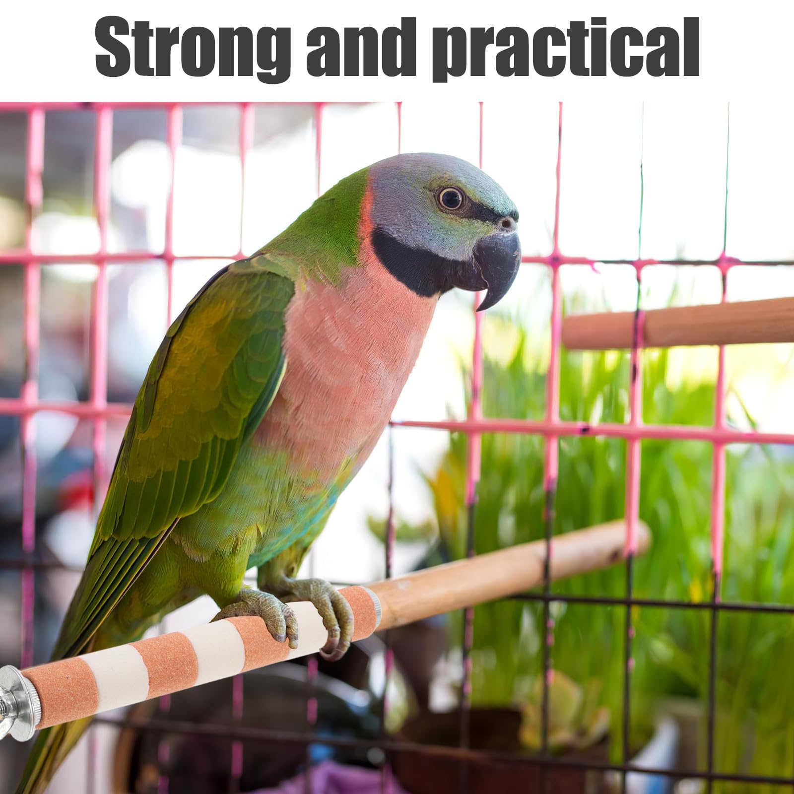 DOITOOL 4 Piezas de Percha para pájaros, Soporte para Loros, Palo para Pata de Loro, Juguete para Masticar, Jaula, Accesorios para cacatúas, cotorras, Suministros