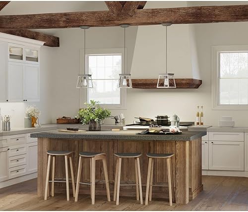 Miniatura 6 de Progress Lighting Briarwood Collection - Mini-colgante costero de 1 luz, grafito, negro