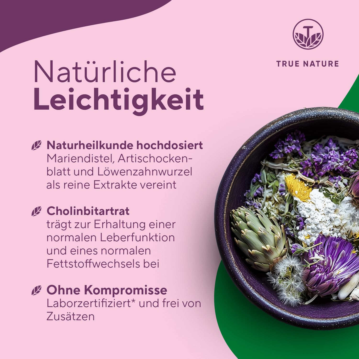 Mariendistel Leber Komplex - Testsieger-Online 11/25 - 180 Kapseln - 480mg Silymarin - Mariendistel, Artischocke, Löwenzahn, Cholin trägt zur Erhaltung einer normalen Leberfunktion bei - TRUE NATURE