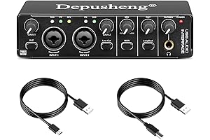 Depusheng RX2: Craft Your Sonic Masterpieces with this Comprehensive USB Audio Interface