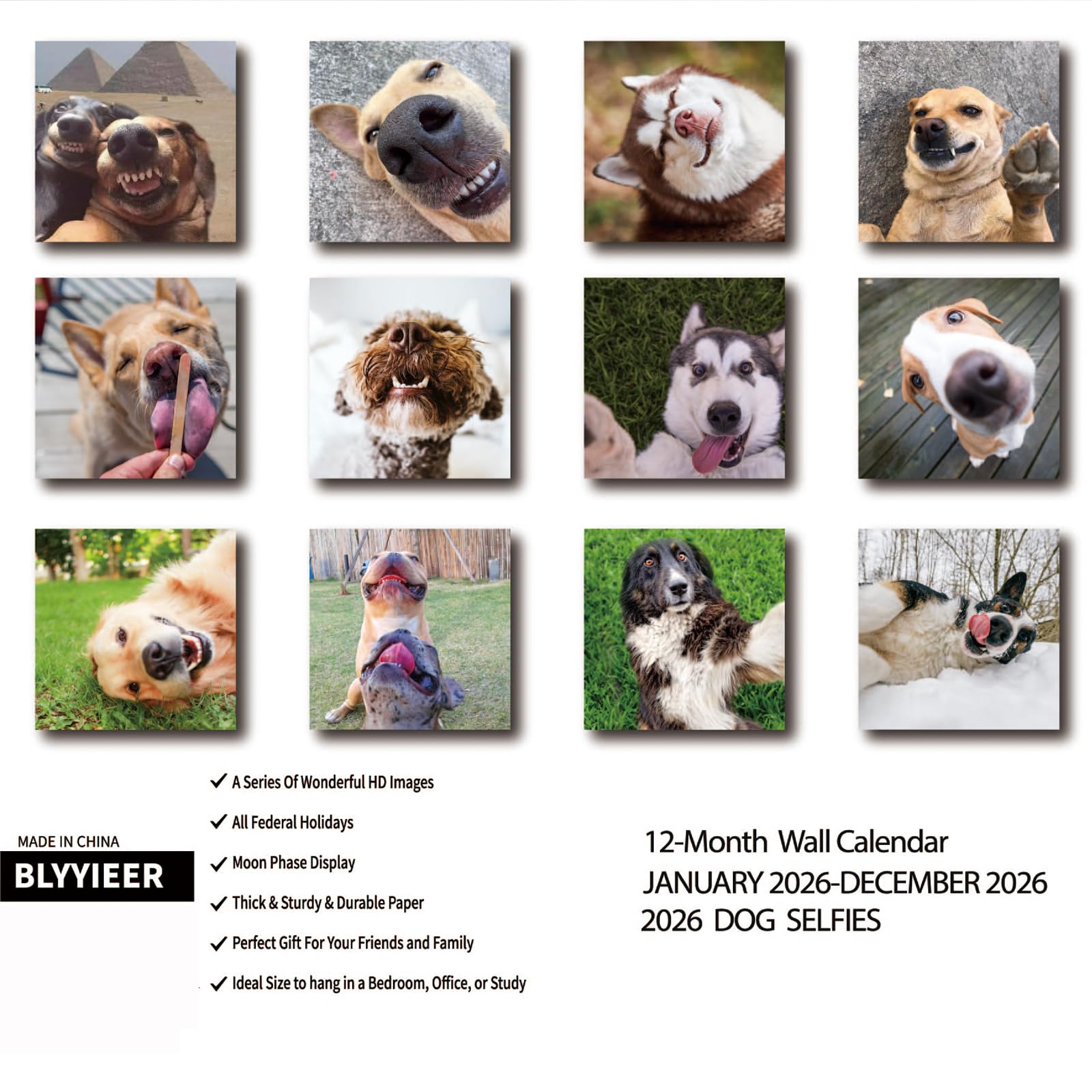 Dog Selfies Calendar 2026 A4 12 Months Funny Dog Calendar UK Wall - View #11