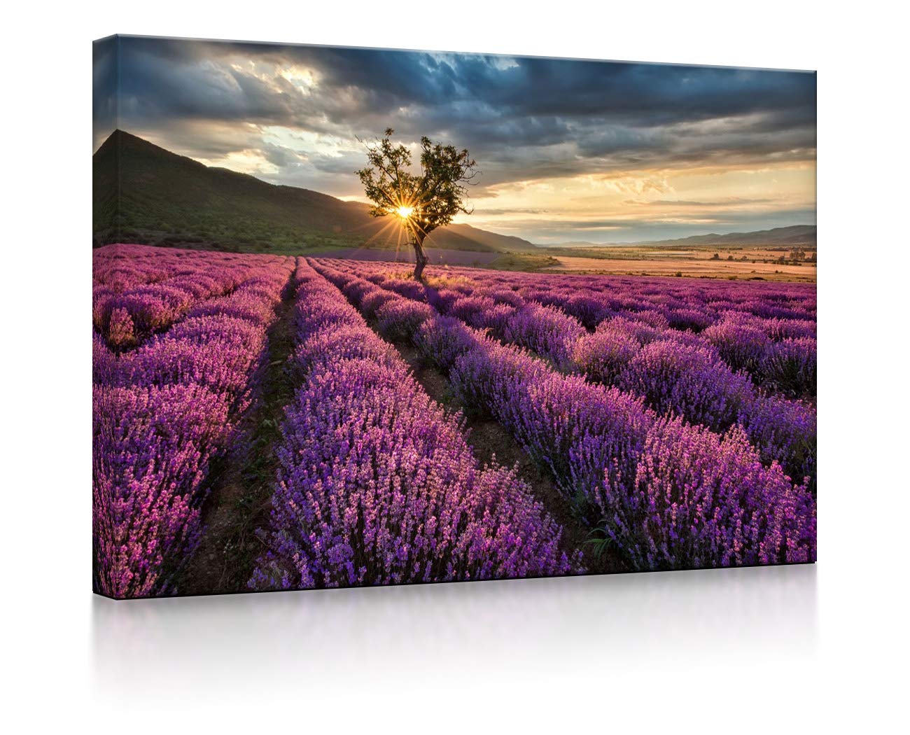 LED Leuchtbild Provence mit einsamen Baum 80x60 cm Front Lighted
