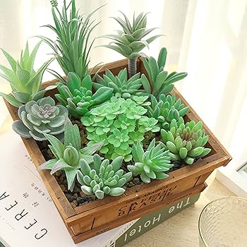 【インテリアグリーン】【多肉植物】【フェイクグリーン】【観葉植物】 楽天市場】観葉植物 フェイク多肉植物フェイクグリーン観葉植物