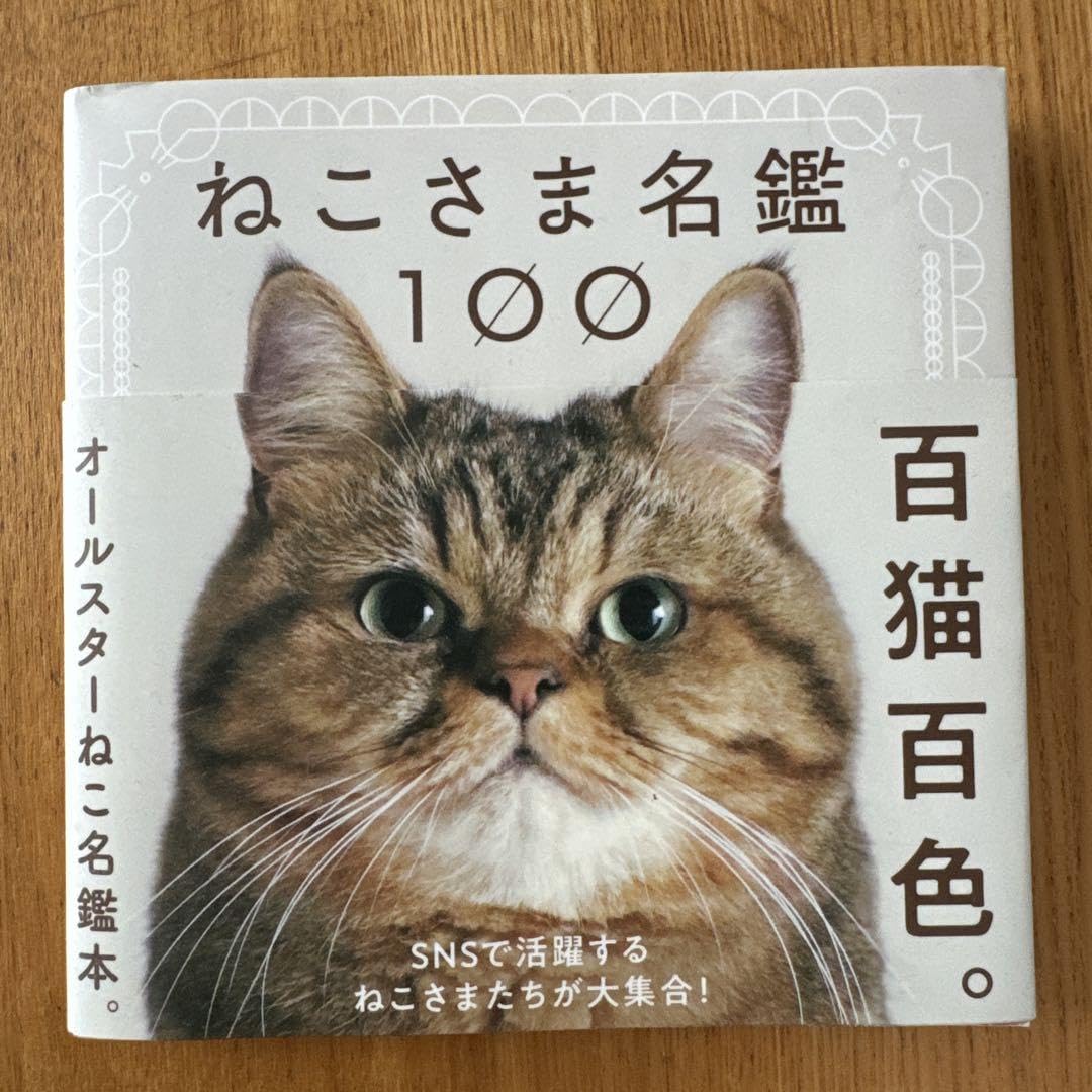 Amazon.co.jp: ねこさま名鑑100 : おもちゃ