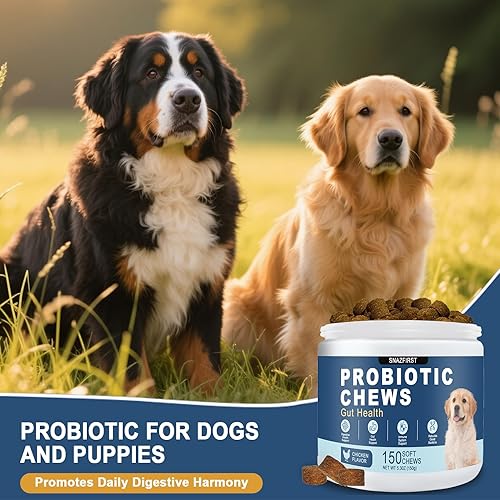 Miniatura 7 de SnazFirst Probióticos para perros, probióticos masticables para la salud digestiva y la salud intestinal, mejoran el sistema inmunológico, el