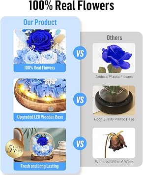Preserved Roses in Glass Dome with LED Light, Gifts for Women (Blue) | Real Flowers for Delivery,Forever Eternal Roses, Gift Box&Card, Birthday gifts for Mom Girlfriend Wife Her, Anniversary Gifts