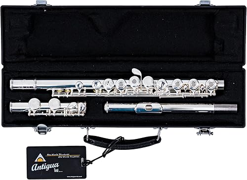 Miniatura 5 de Antigua Vosi FL2410SL Flauta de agujero abierto bañada en plata con estuche