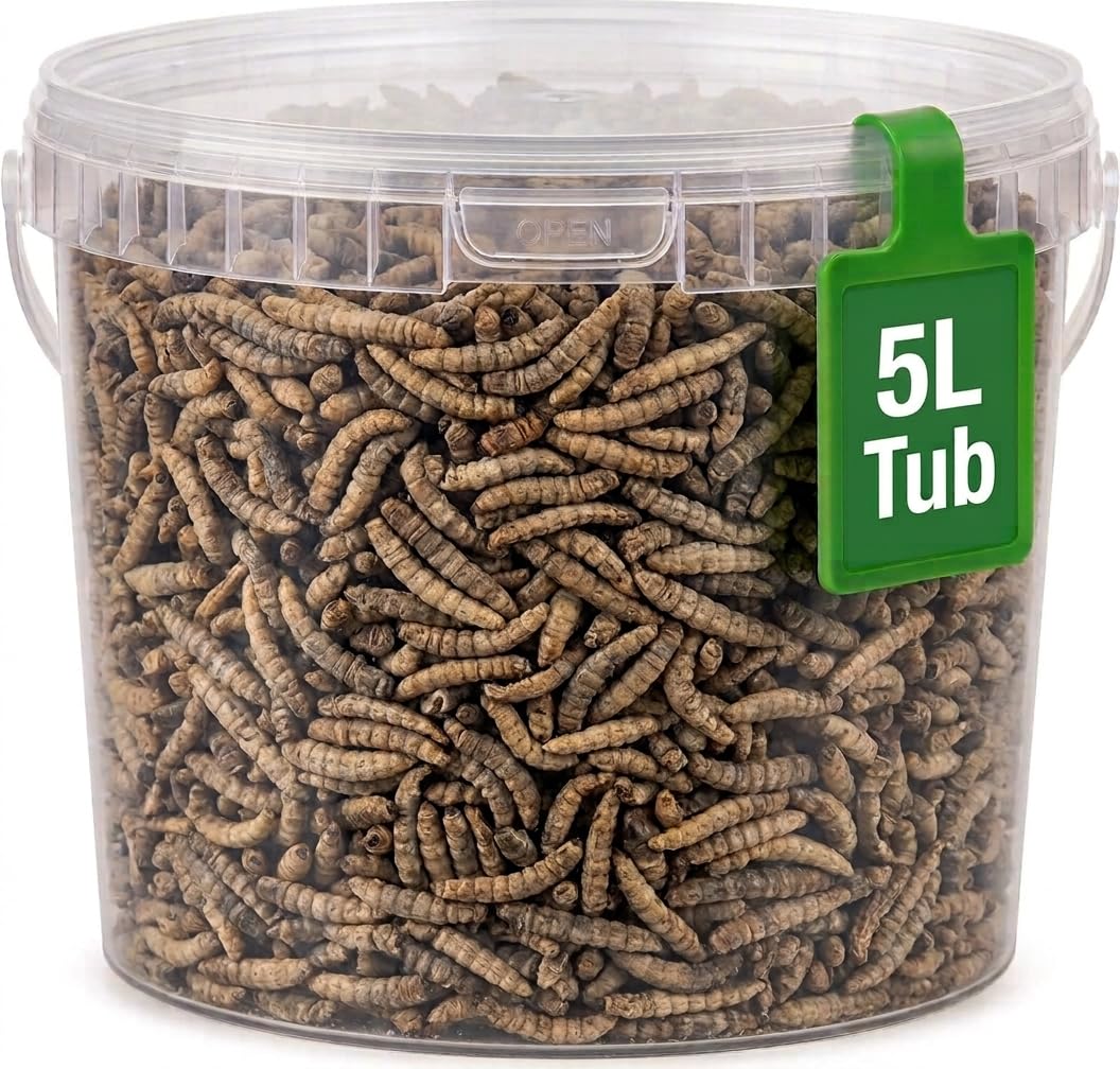 Dried Calciworms 5L Tub for Garden Birds, Calci worms for Wild Bird Food
